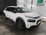 C4 Cactus