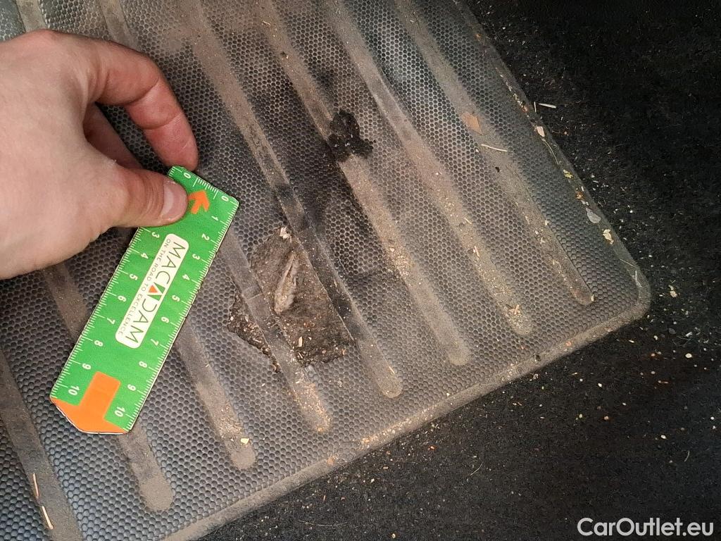  Peugeot  2008  Active Business 1.5 HDi 100CV BVM6 E6d #18