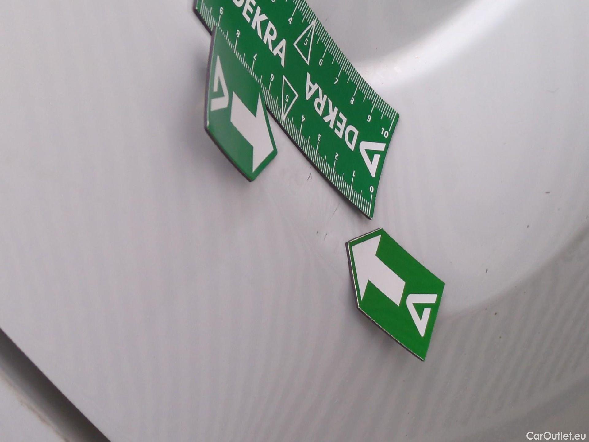  Renault  Kangoo  Express Maxi Extra (Série Spéciale) 1.5 #40