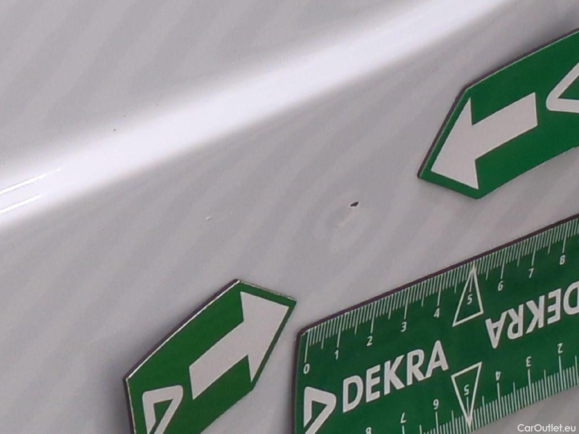  Renault  Kangoo  Express Maxi Extra (Série Spéciale) 1.5 #88