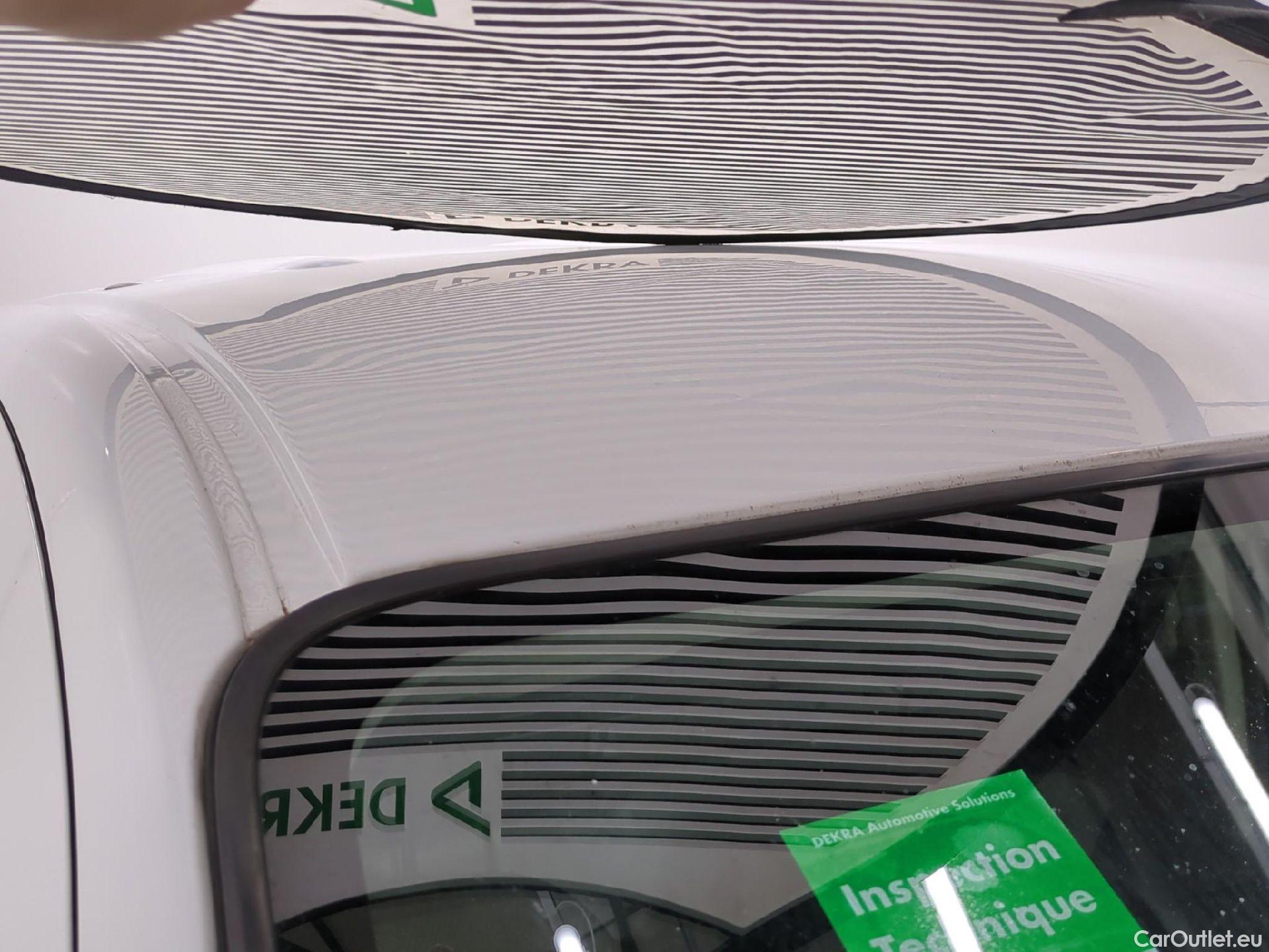  Renault  Kangoo  Express Maxi Extra (Série Spéciale) 1.5 #55