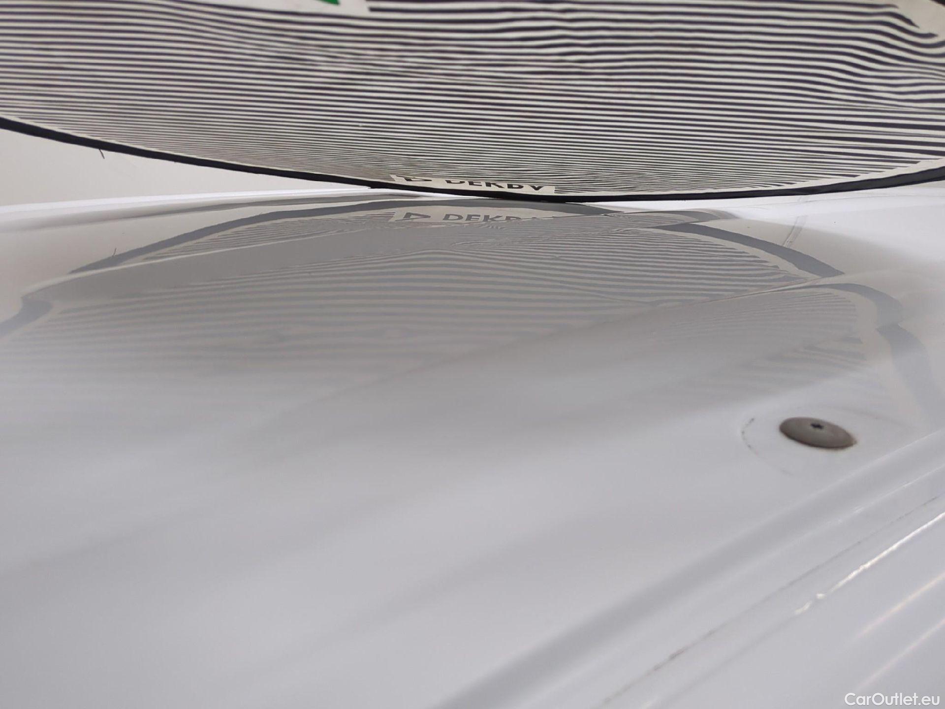  Renault  Kangoo  Express Maxi Extra (Série Spéciale) 1.5 #49