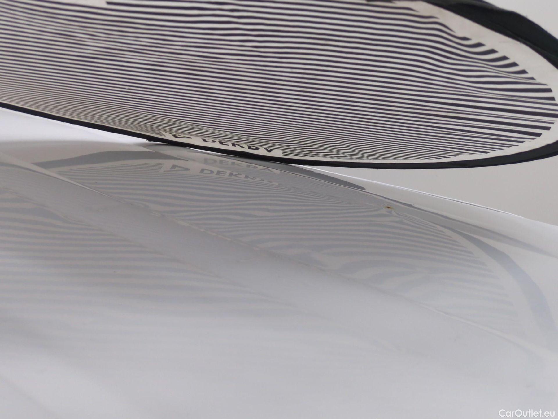  Renault  Kangoo  Express Maxi Extra (Série Spéciale) 1.5 #48