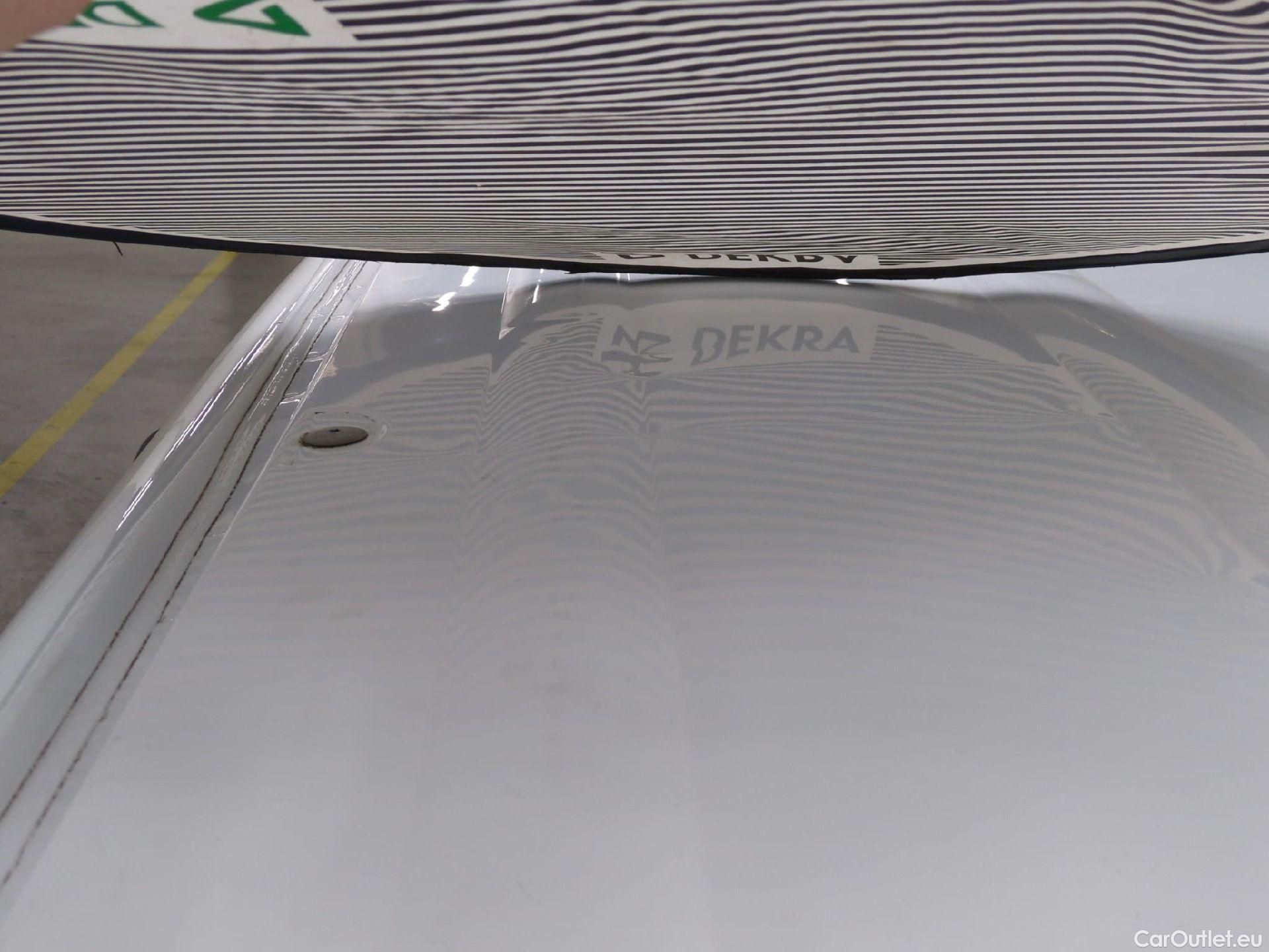  Renault  Kangoo  Express Maxi Extra (Série Spéciale) 1.5 #46