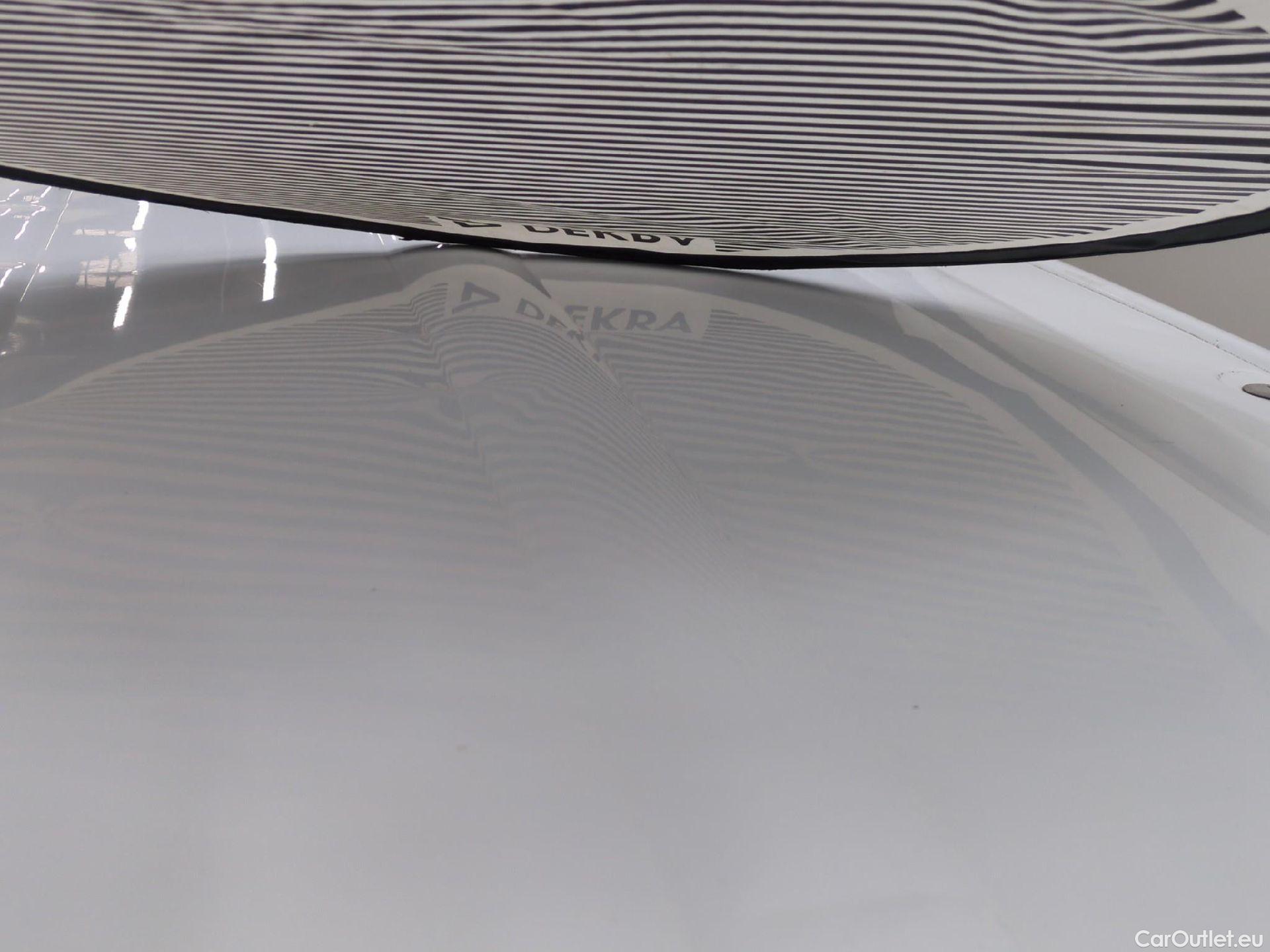  Renault  Kangoo  Express Maxi Extra (Série Spéciale) 1.5 #51