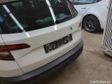  Skoda  Karoq  Ambition 4x4 2.0 TDI 110KW AT7 E6d #22