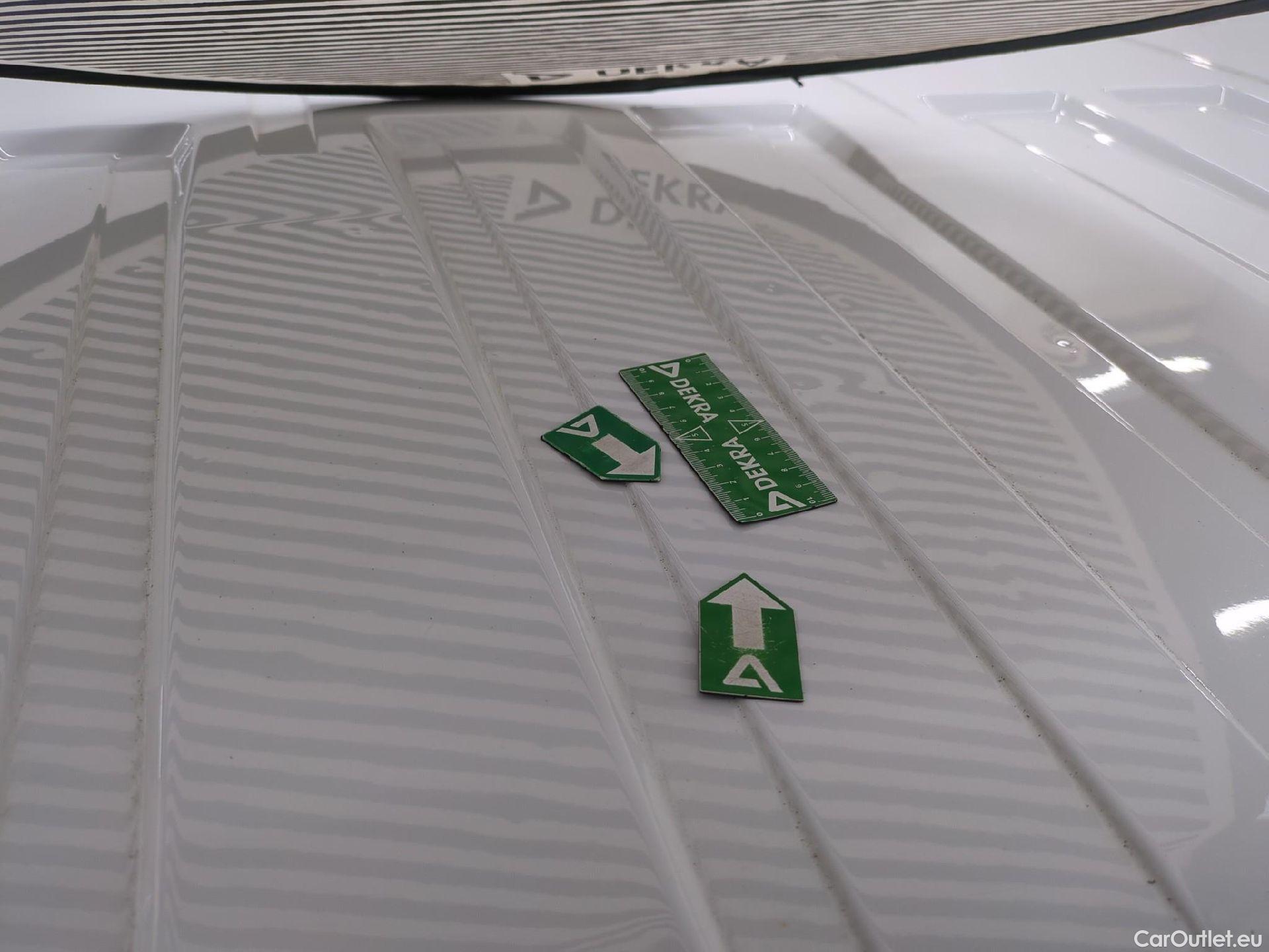  Renault  Trafic  Fourgon L1H1 3T Grand Confort 2.0 dCi 130CV BVM6 E6d #29