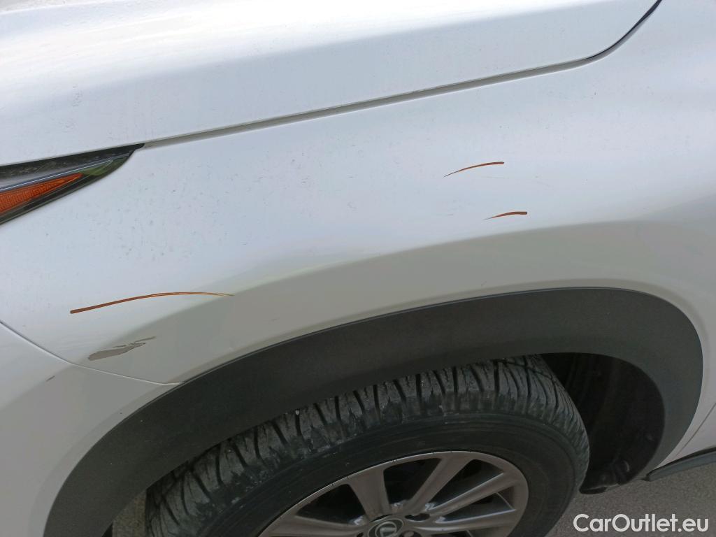  Lexus  NX LEXUS  / 2017 / 5P / todoterreno 2.5 300h Business Navigation 2WD #12