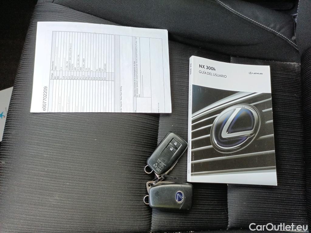  Lexus  NX LEXUS  / 2017 / 5P / todoterreno 2.5 300h Business Navigation 2WD #15