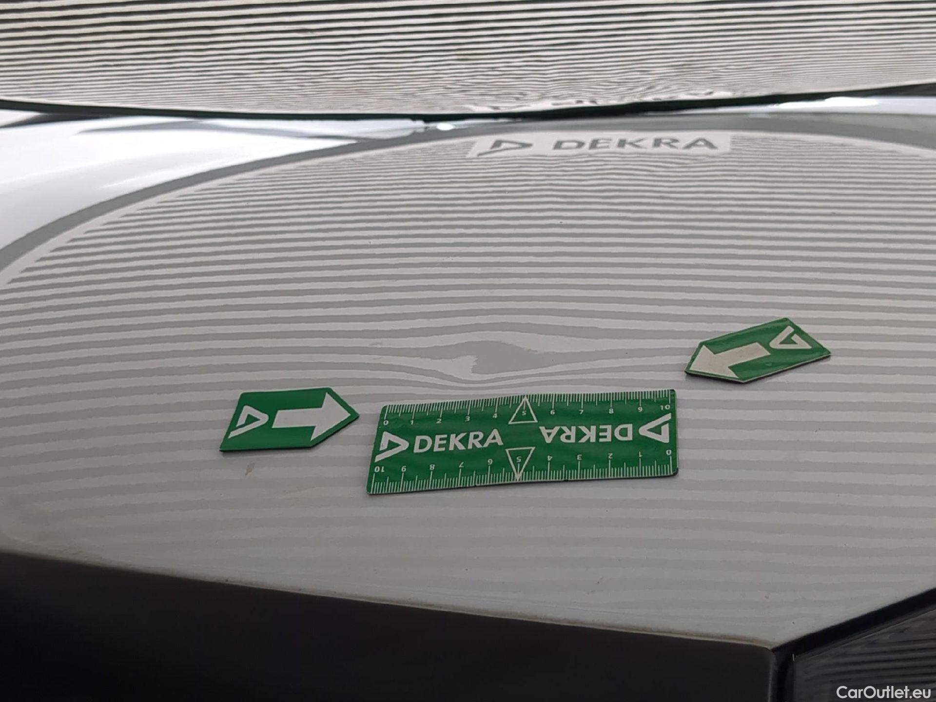  Renault  Trafic RENAULT  / 2019 / 4P / Fourgon tole NV FG GCF L1H1 1200 dCi 120 #49