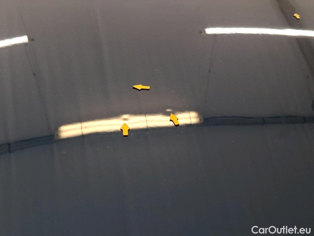  Skoda  Kodiaq  Business 2.0 TDI 150CV BVA7 E6dT #5