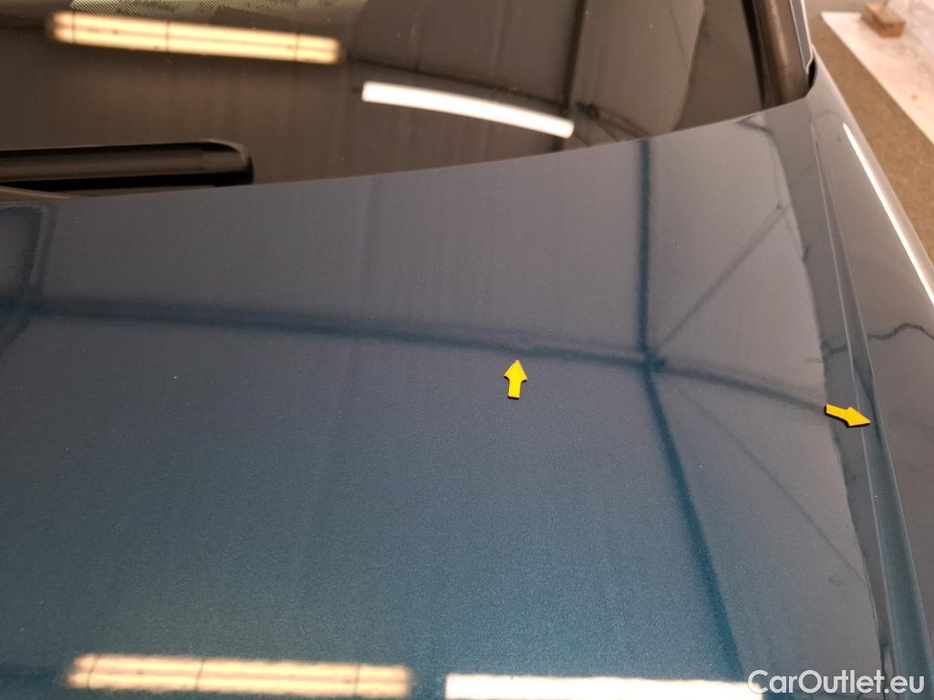  Skoda  Kodiaq  Business 2.0 TDI 150CV BVA7 E6dT #18