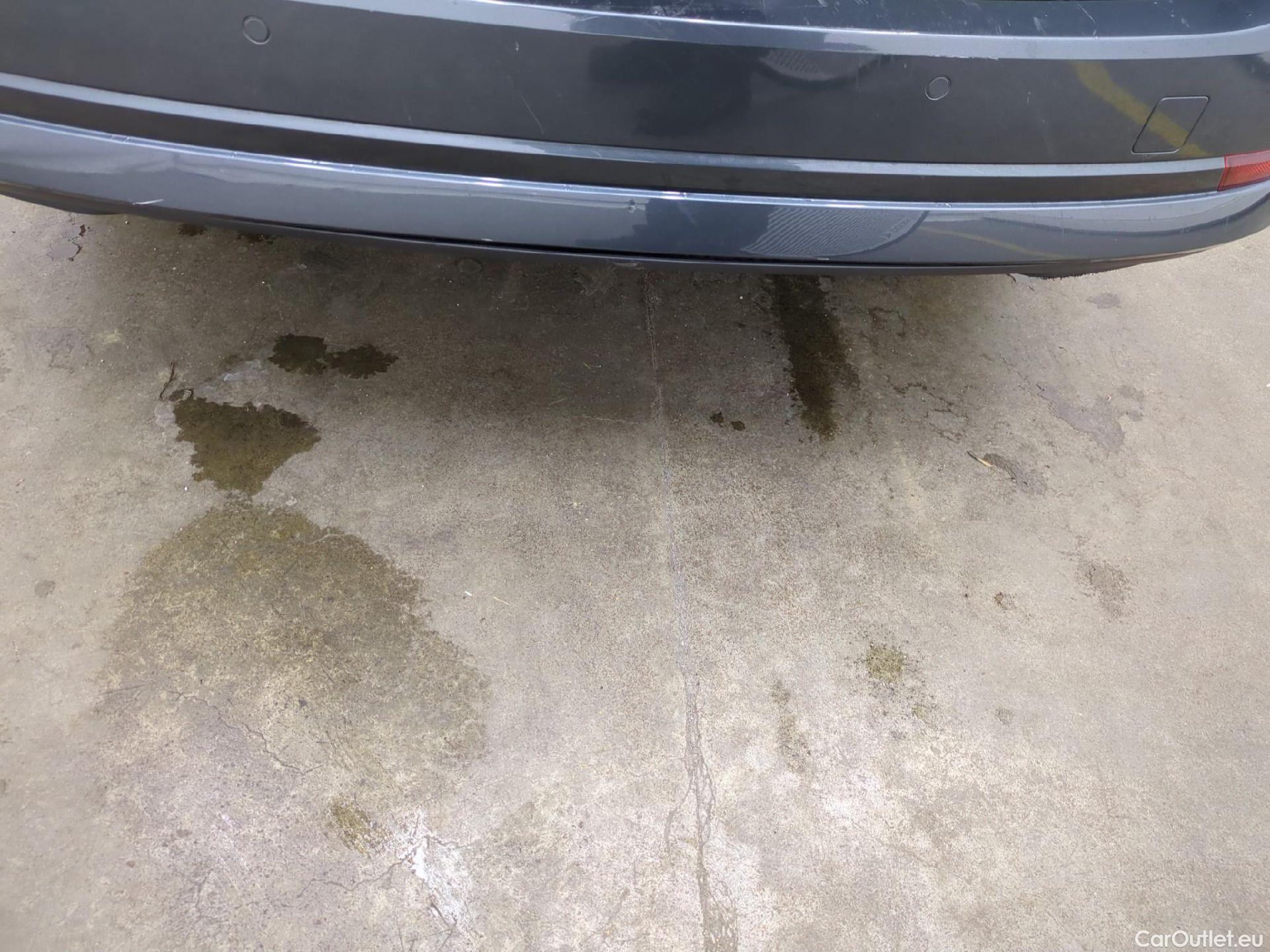  Skoda  Octavia  Break Business 2.0 TDI 150CV BVA7 E6dT #51