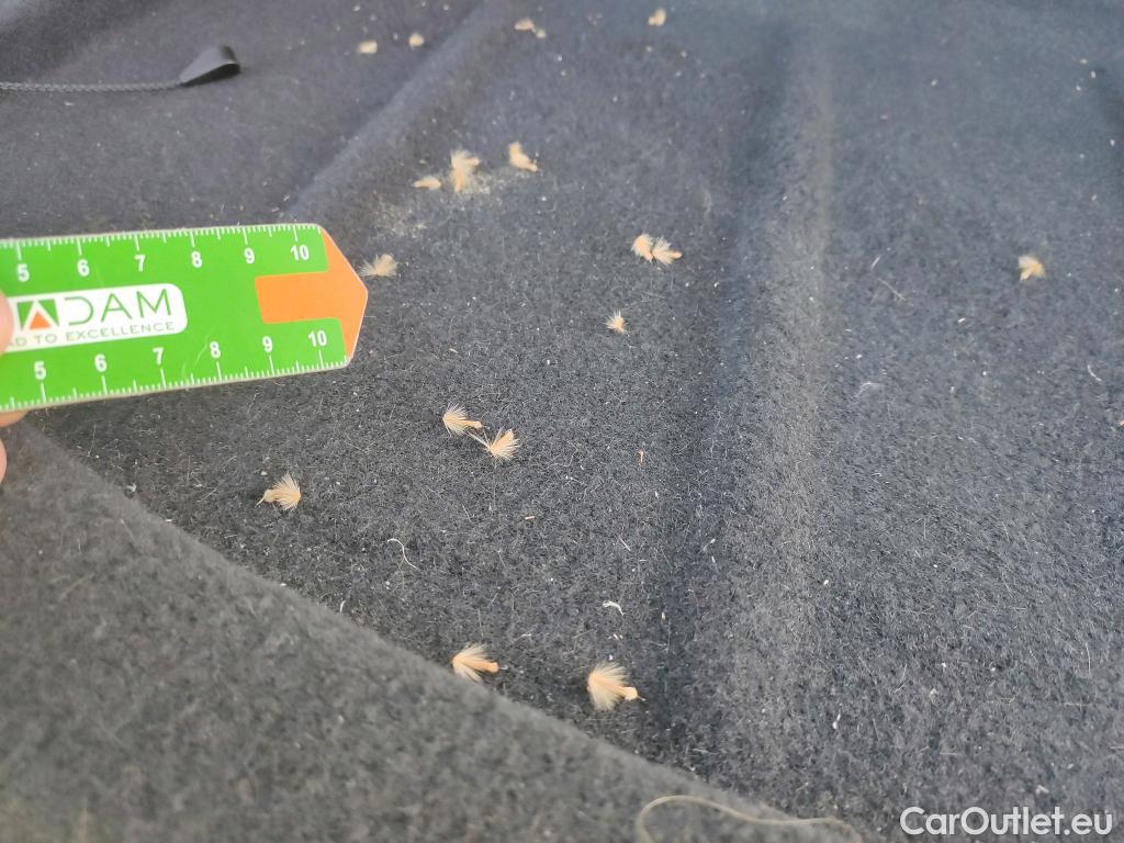  Cupra  Formentor  1.5 150CV MT6 E6d #46