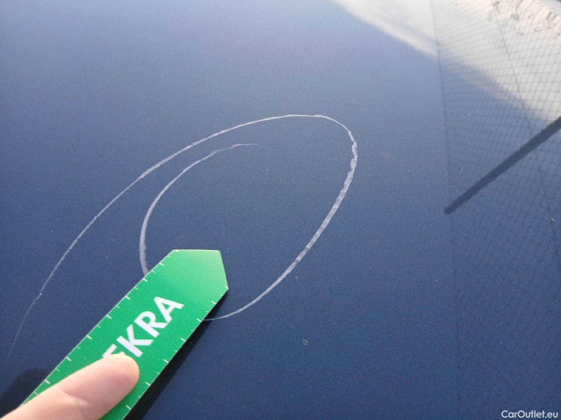  Seat  Leon SEAT Nuevo León / 2020 / 5P / familiar SP 2.0 TDI 85kW Reference Go #18