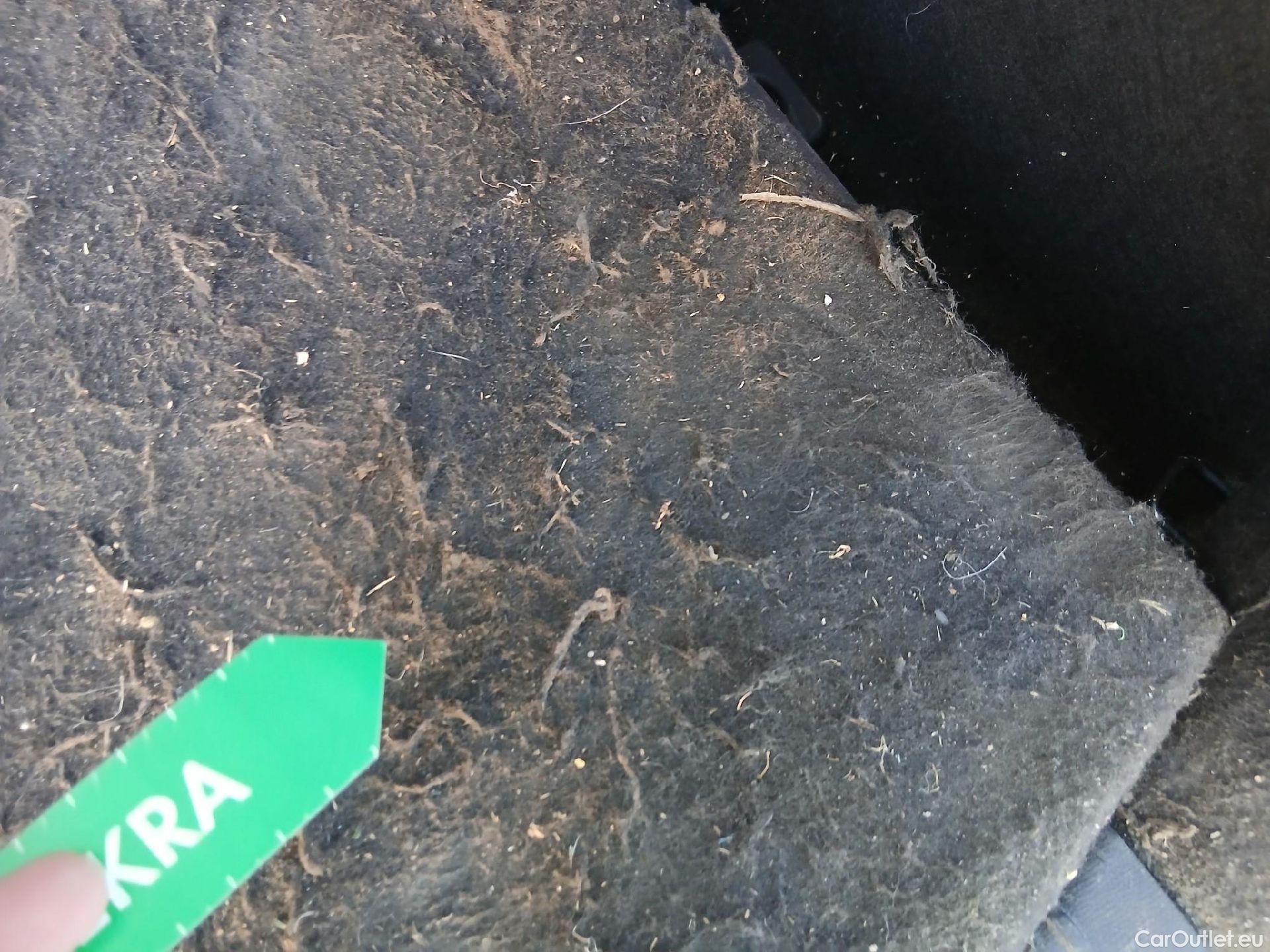  Seat  Leon SEAT Nuevo León / 2020 / 5P / familiar SP 2.0 TDI 85kW Reference Go #7