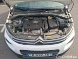  Citroen  C3 BLUEHDI 100 S&S BVM FEEL #38