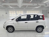  Fiat  Panda FIAT  / 2011 / 5P / BERLINA 1.2 69CV SeS E6D-TEMP EASY #8