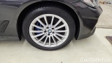  Bmw  Serie 5 530e xDrive Touring A #10