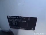  Skoda  Karoq  (NU)(2017->)  2.0 TDI 85 Style #10