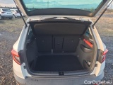  Skoda  Karoq  (NU)(2017->)  2.0 TDI 85 Style #12
