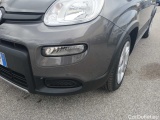  Fiat  Panda 1.0 FireFly 70cv S&S Hybrid City Life Manual Petrol  11 #47