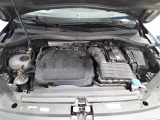  Volkswagen  Tiguan 2.0 TDI SCR DSG Life Automatic Diesel  33 #16