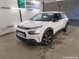 C4 Cactus