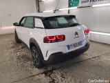 C4 Cactus