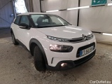 C4 Cactus