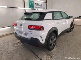 C4 Cactus