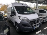 Ducato