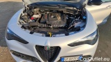  Alfa Romeo   STELVIO 2.2 TD 160 CV Sprint AT8 RWD #15