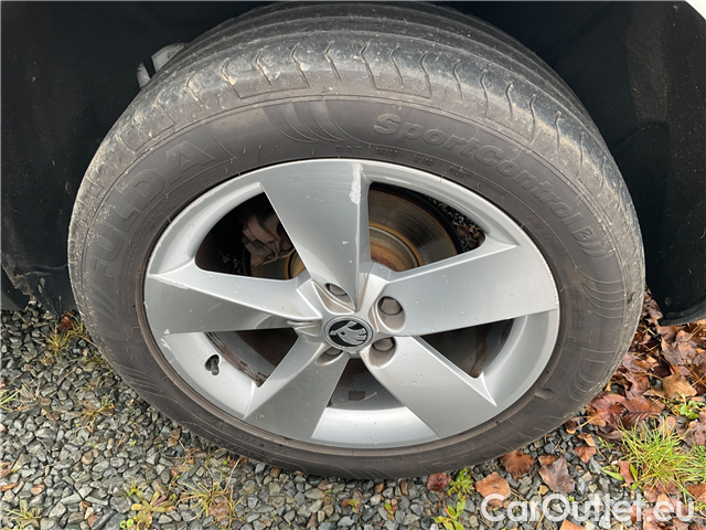  Skoda  Karoq  1.5TSI 110 ACT Style AT #18