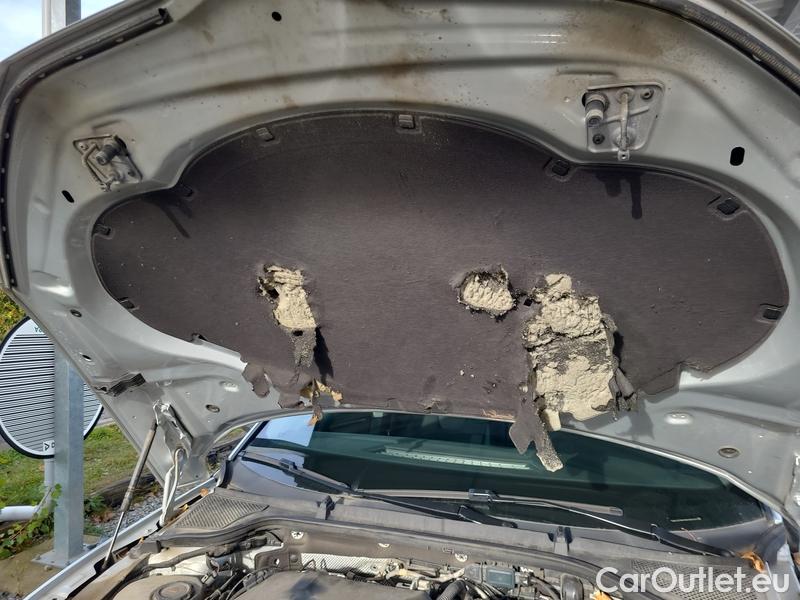  Skoda  Octavia  Combi (NX3)(2020) Oct.Combi 2.0TDI 85 Ambition #16