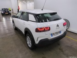 C4 Cactus