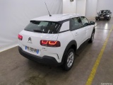 C4 Cactus