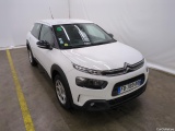 C4 Cactus