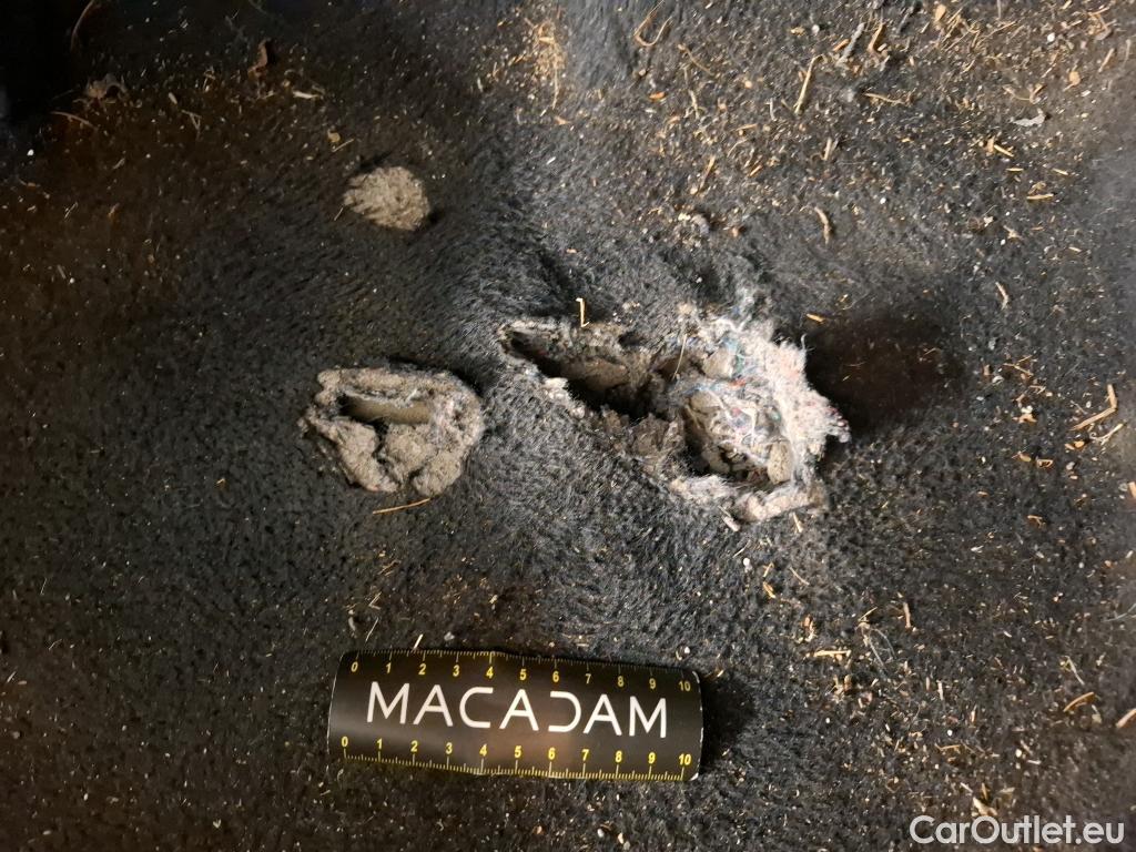  Seat  Leon  Style 1.2 TSI 110CV BVM6 E6 #9