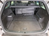  Skoda  Kodiaq  Sportline 4x4 2.0 TDI 147KW AT7 E6d #19