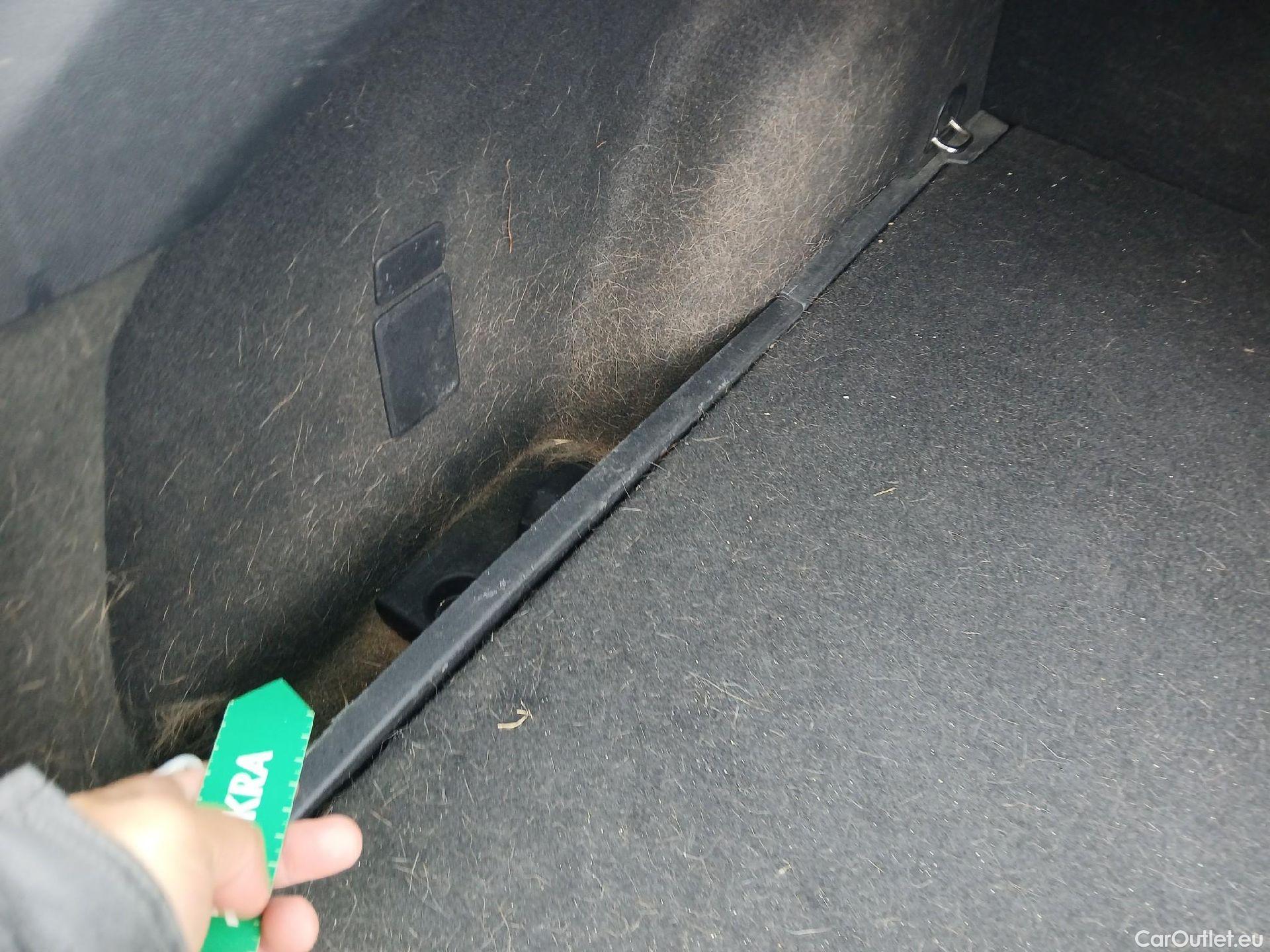  Seat  Leon SEAT Nuevo León / 2020 / 5P / familiar SP 1.5 eTSI 110kW DSG S&S FR Go L(SP) #1