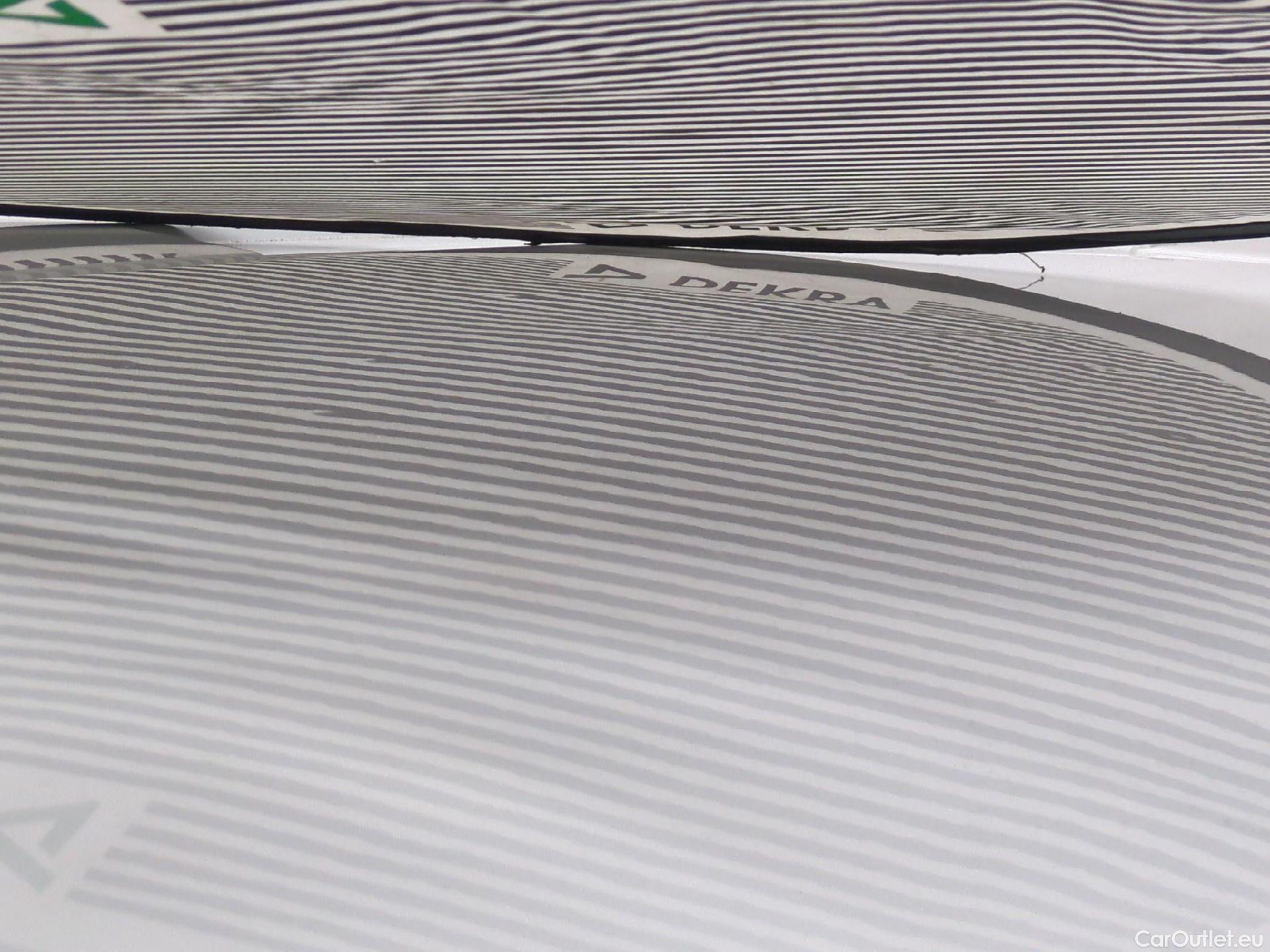  Renault  Trafic  Furgon Grand Confort L1H1 1000 1.6 dCi 120CV BVM6 E6 #43