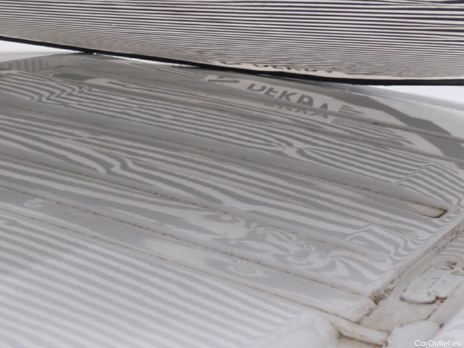  Renault  Trafic  Furgon Grand Confort L1H1 1000 1.6 dCi 120CV BVM6 E6 #48