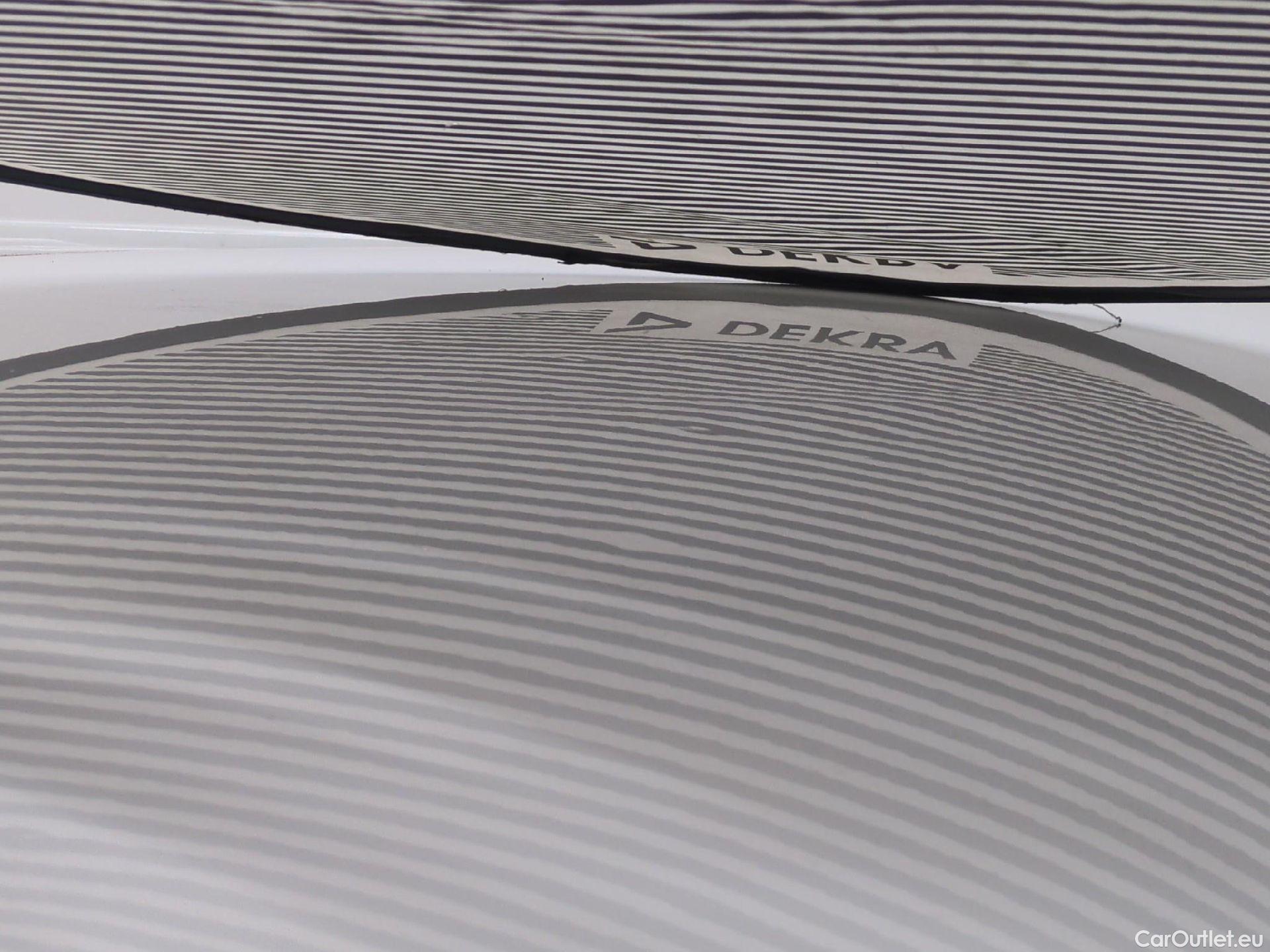  Renault  Trafic  Furgon Grand Confort L1H1 1000 1.6 dCi 120CV BVM6 E6 #41