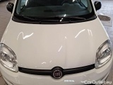  Fiat  Panda FIAT  / 2011 / 5P / BERLINA 1.2 69CV SeS E6D-TEMP EASY #22