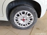  Fiat  Panda FIAT  / 2011 / 5P / BERLINA 1.2 69CV SeS E6D-TEMP EASY #19