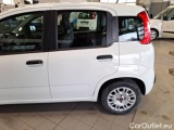  Fiat  Panda FIAT  / 2011 / 5P / BERLINA 1.2 69CV SeS E6D-TEMP EASY #35