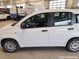  Fiat  Panda FIAT  / 2011 / 5P / BERLINA 1.2 69CV SeS E6D-TEMP EASY #37