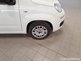  Fiat  Panda FIAT  / 2011 / 5P / BERLINA 1.2 69CV SeS E6D-TEMP EASY #41