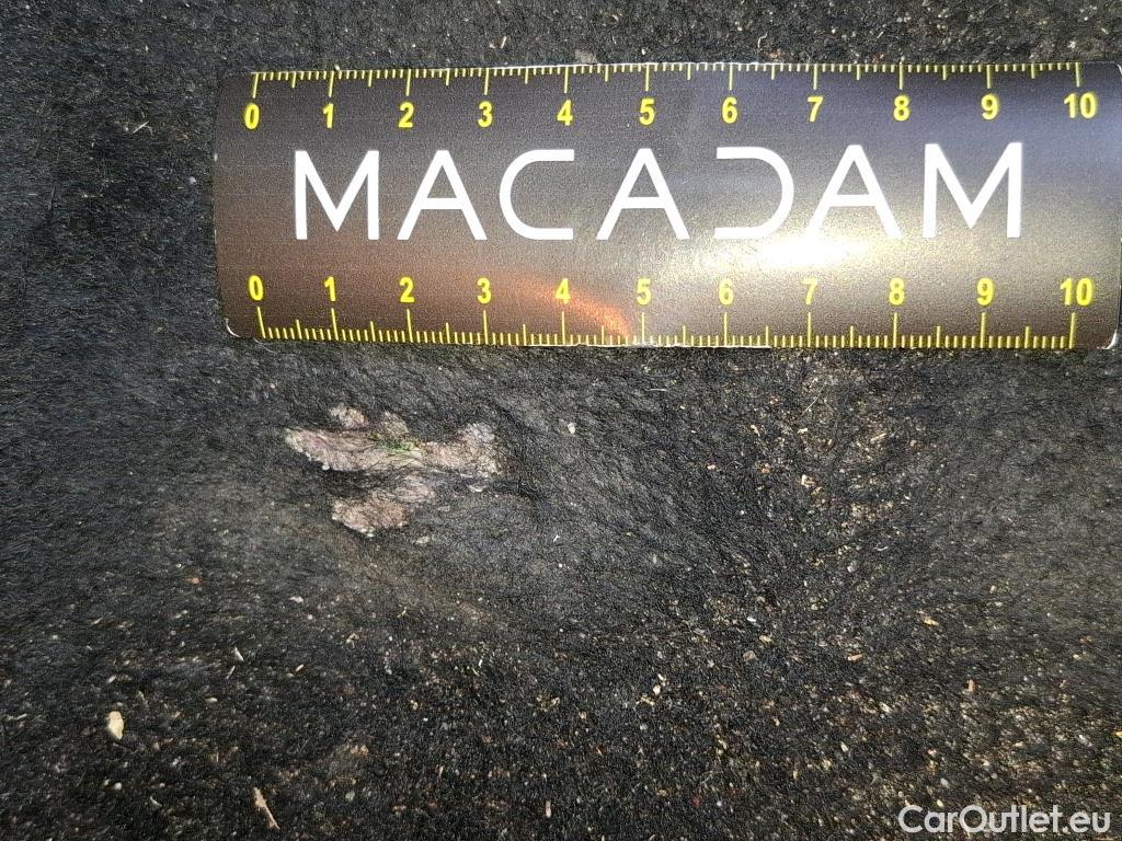  Seat  ATECA  Style Business 2.0 TDI 150CV BVA7 E6d #25